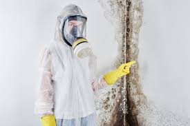 Best Environmental Consulting for Mold Prevention  in Kiln, MS